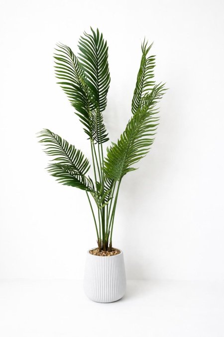 شجرة نخيل كبيرة مع قوار ابيض