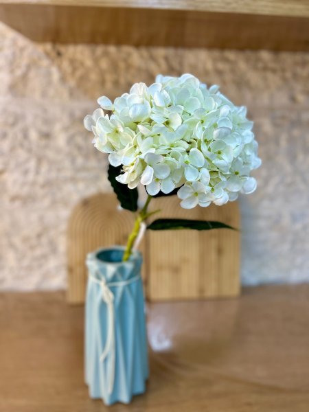 ورد