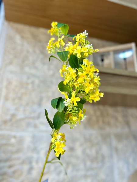 ورد اصفر