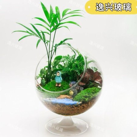 تحفة زجاجية متعددة الاستخدام مميزة وانيقة وعملية