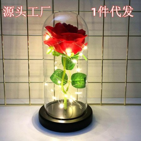 وردة جورية مميزة مضيئة