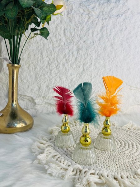 ديكور زجاجي مع ريشة فخمة وأنيقة ومميزة