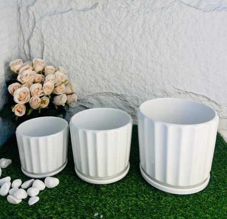 طقم قواوير أنيق وجذاب متعدد الاحجام