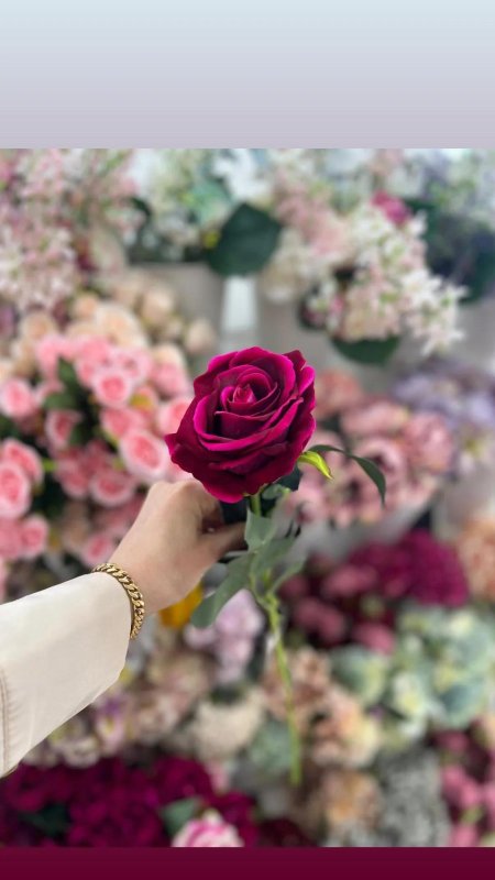 وردة جورية مميزة وانيقة