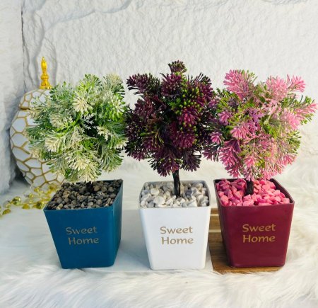 قواوير شجر أنيقة وجذابة