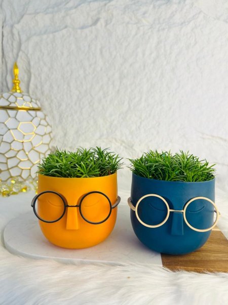 قواوير ورد صناعي على شكل وجه