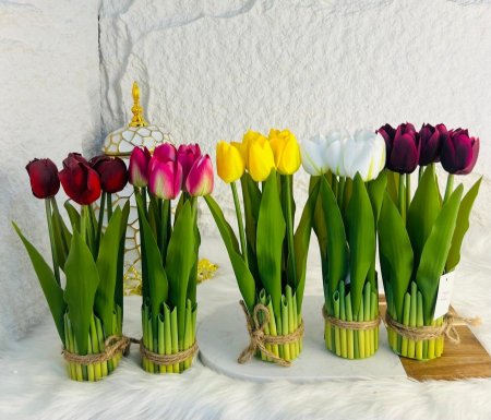 زهرة التوليب المميزة بألوان مختلفة