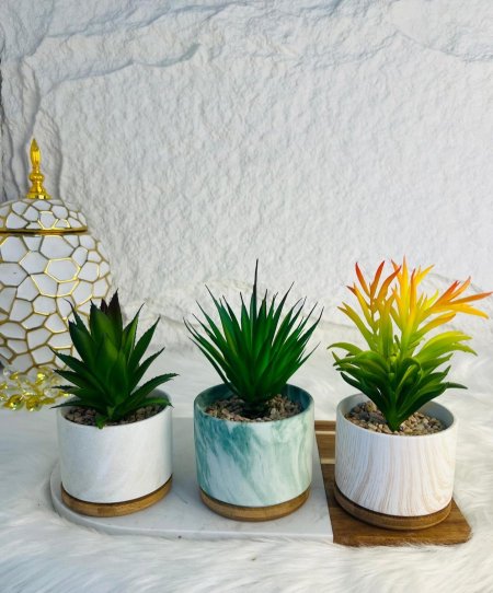 قواوير ورد بورسلان مميزة مع قطعة خشبية انيقة