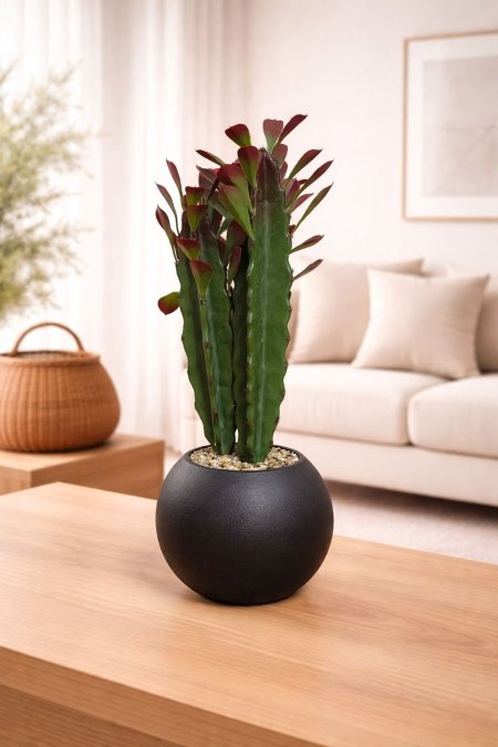 صبار شمعدان صناعي